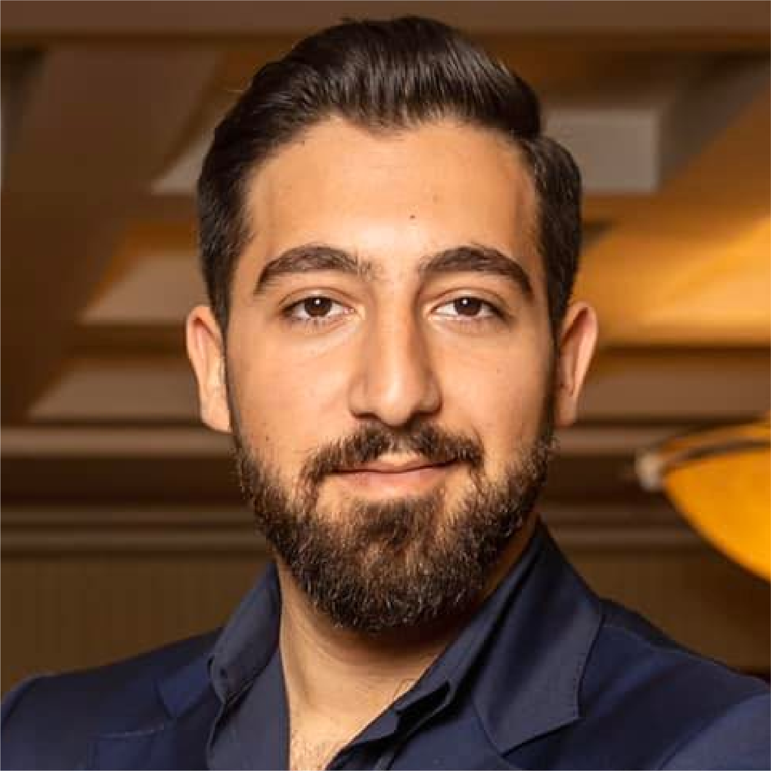 Photograph of Irakli Papiashvili